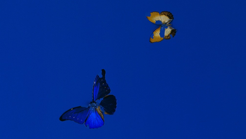 Beautiful, Beautiful Day