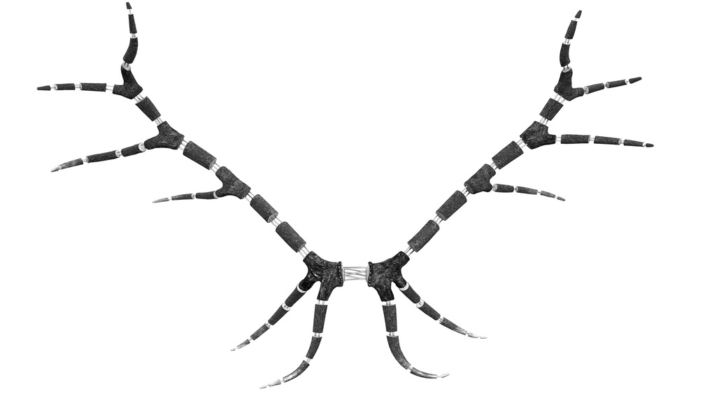 The Difference Between (Idiots and Angels)