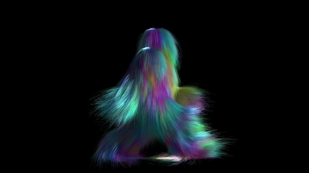 Transfiguration