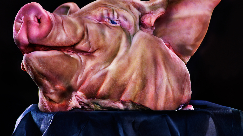 Apocalypse and Carnival