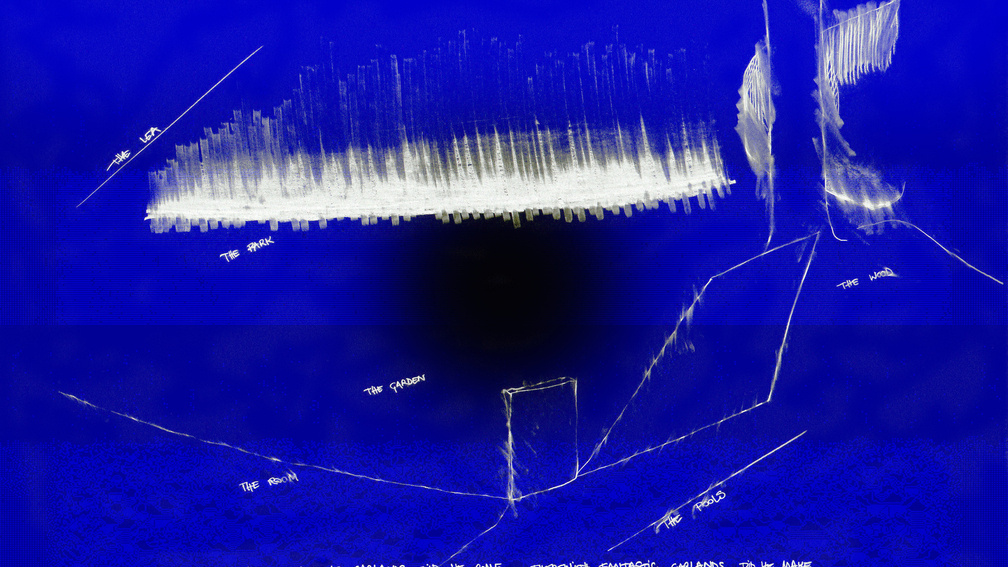 The Deadly Nightshades