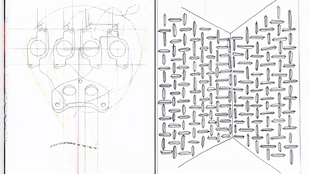 The Night-scented Stocks