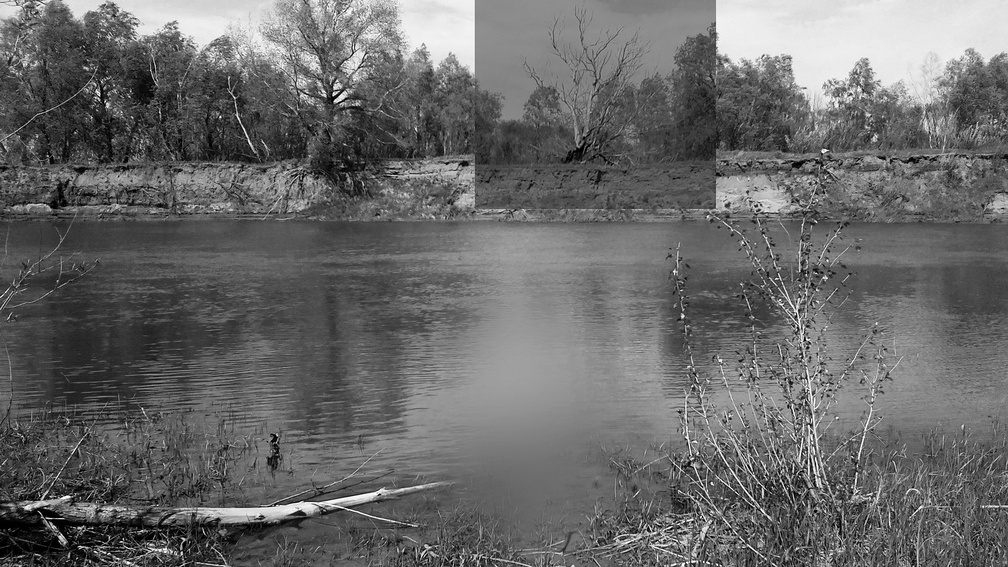 TOO LATE TO GET OPPORTUNITY, TOO EARLY TO LEAVE FOREVER