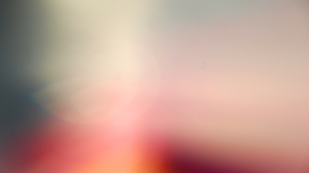 Palette of the Season