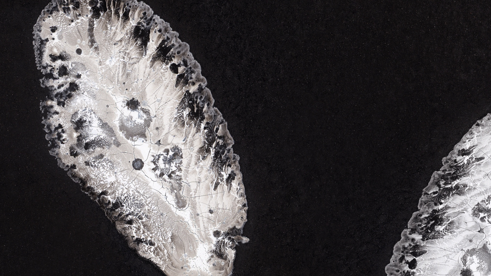 Organic Memory - manifest 2