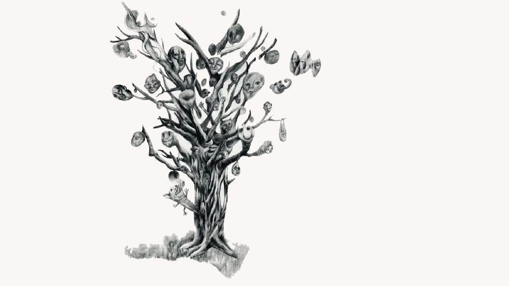 the tree with many heads