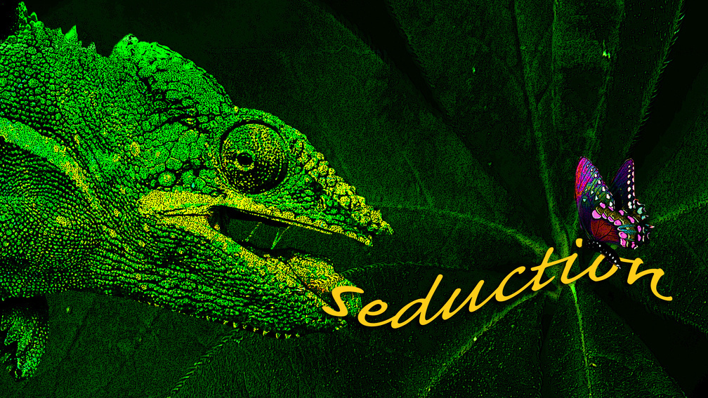 Seduction