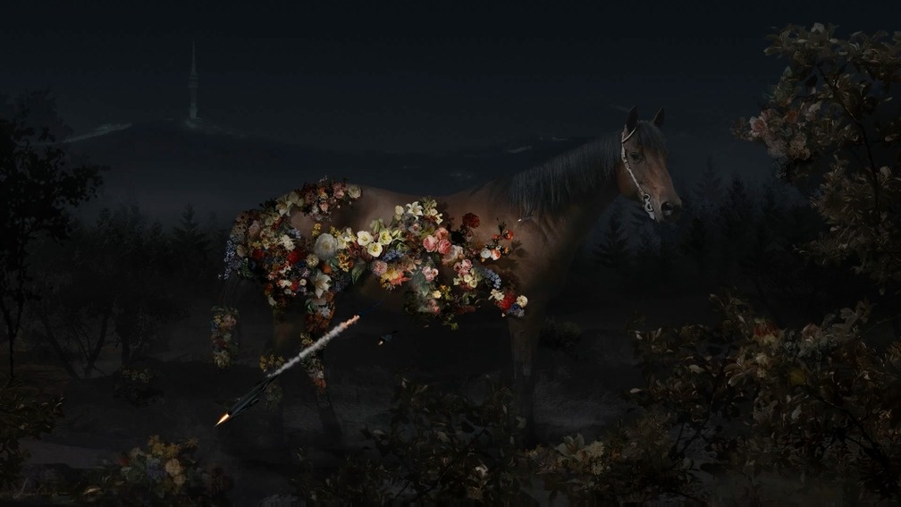 HORSE - Flowers Blossom On A Horse