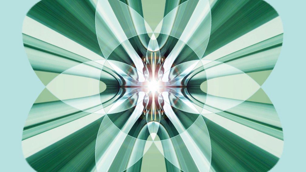 Compo81 Mountain Flower