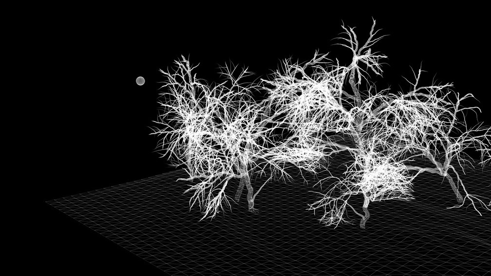 Nostalgia for Nature – Wireframe 1