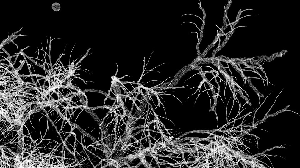 Nostalgia for Nature – Wireframe 2