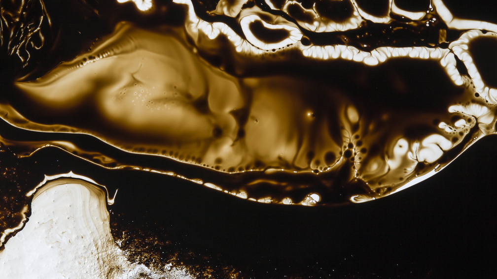 Impossible Creatures - Talos 1