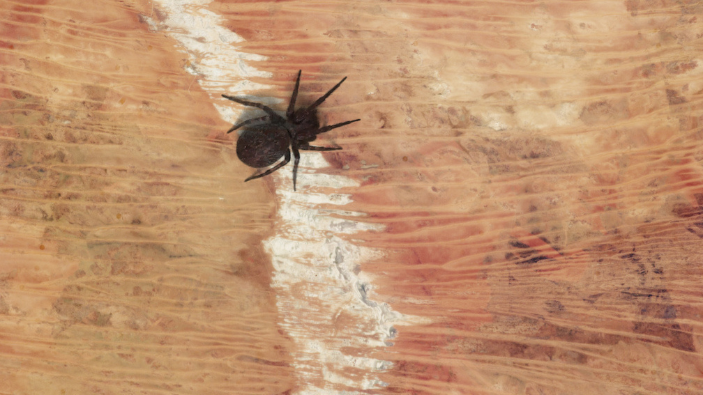 Landsat. Continuing to Improve Everyday Life