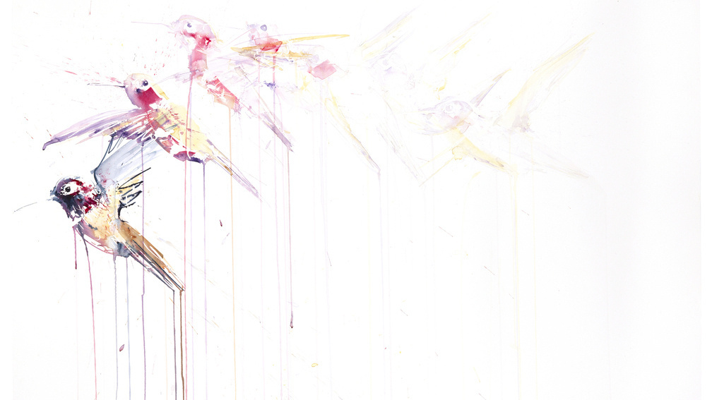 Humming Bird Movement