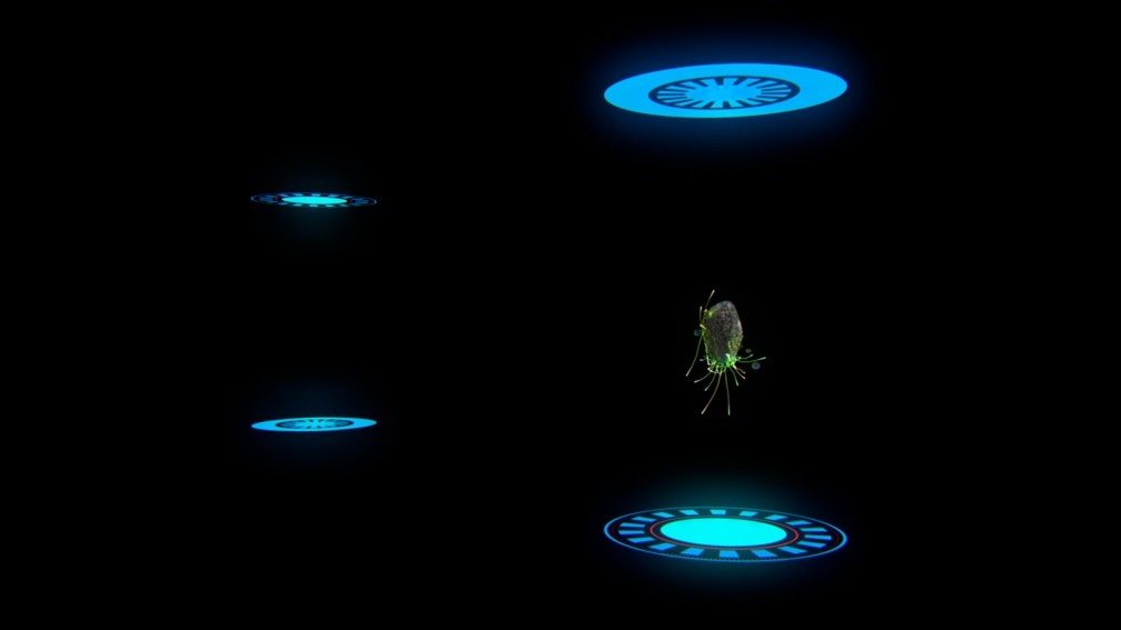 Lost Holon In A Portal Loop