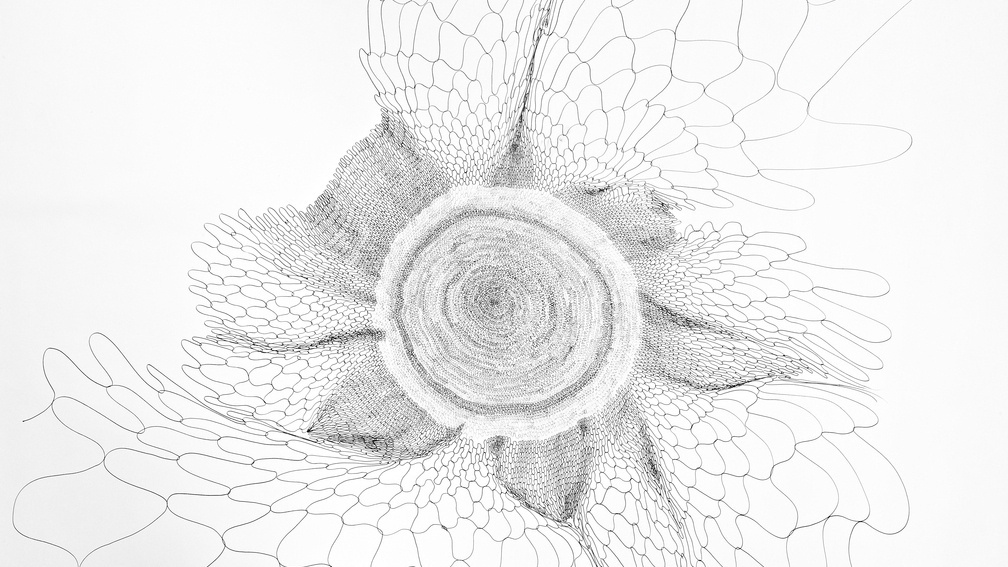 From really close everything is straight