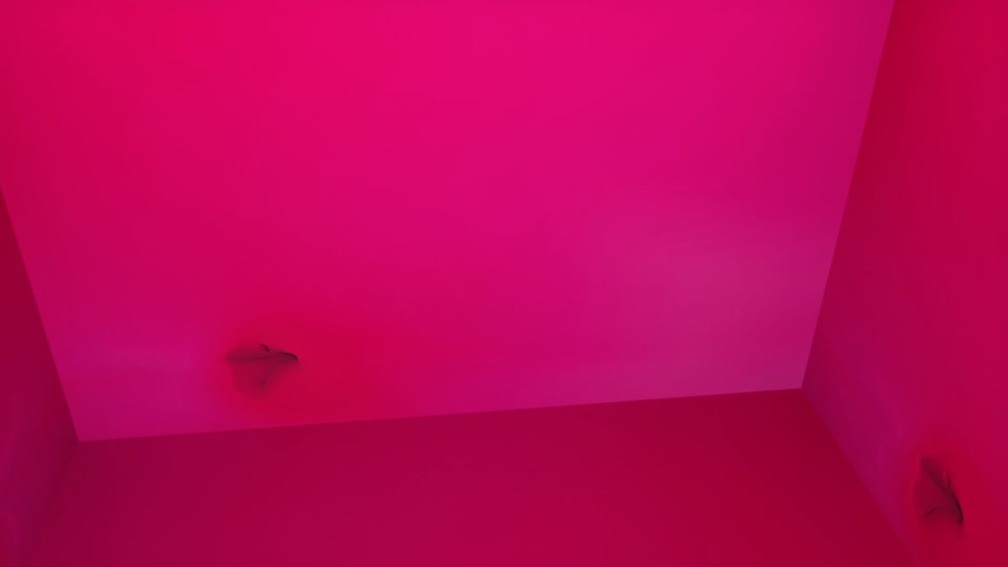 The Prison Of The Body