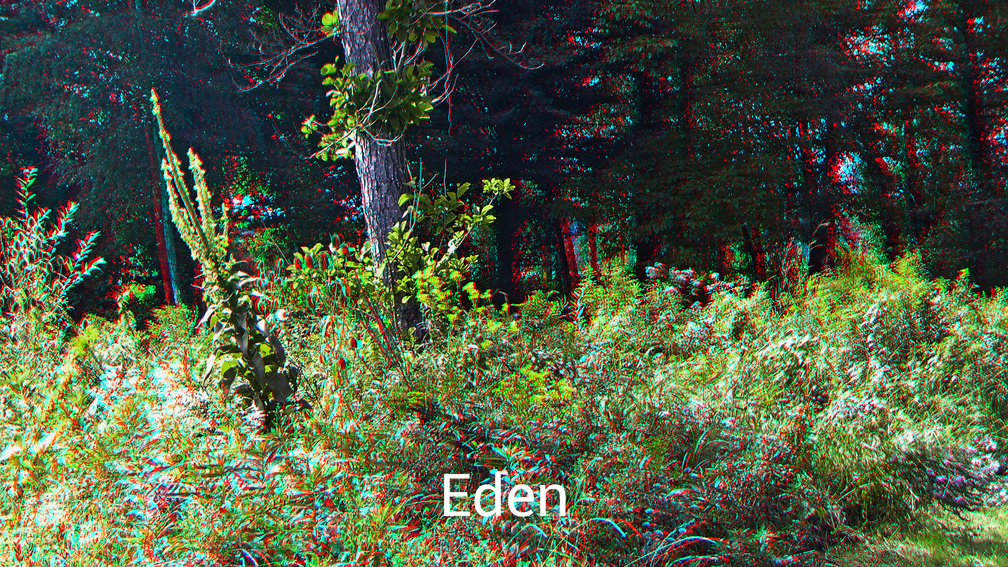 Eden