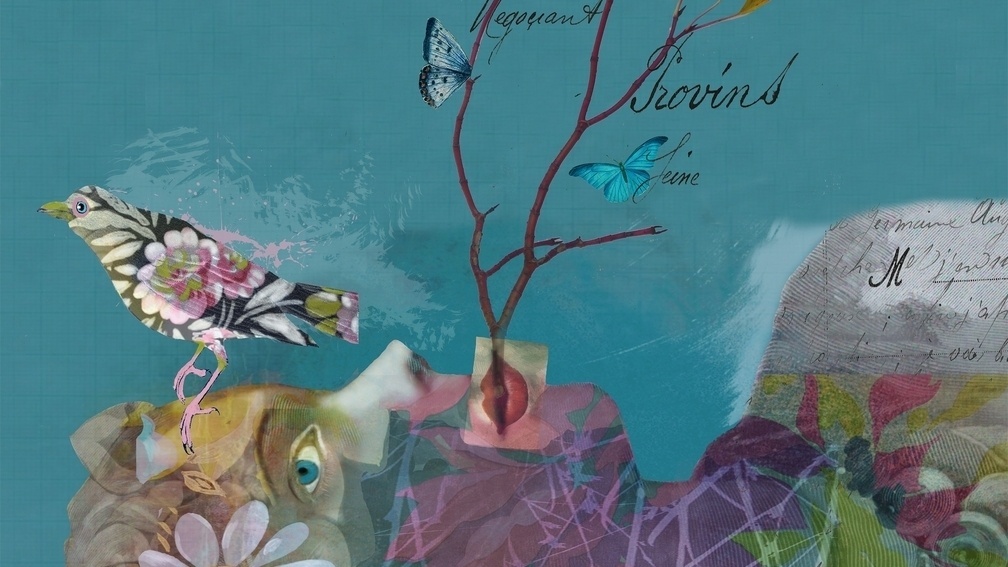 The Land of Painted Dreams