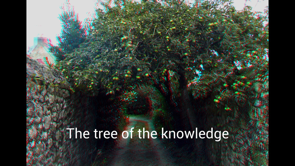 The tree of the knowledgeby Lénie Blue
