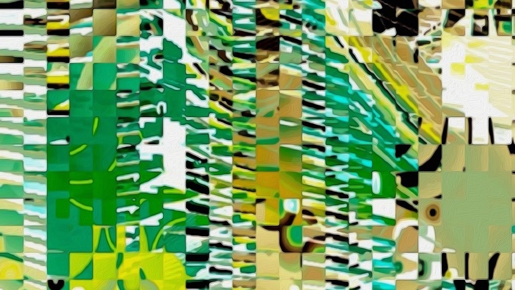 Meditation Transformation #342