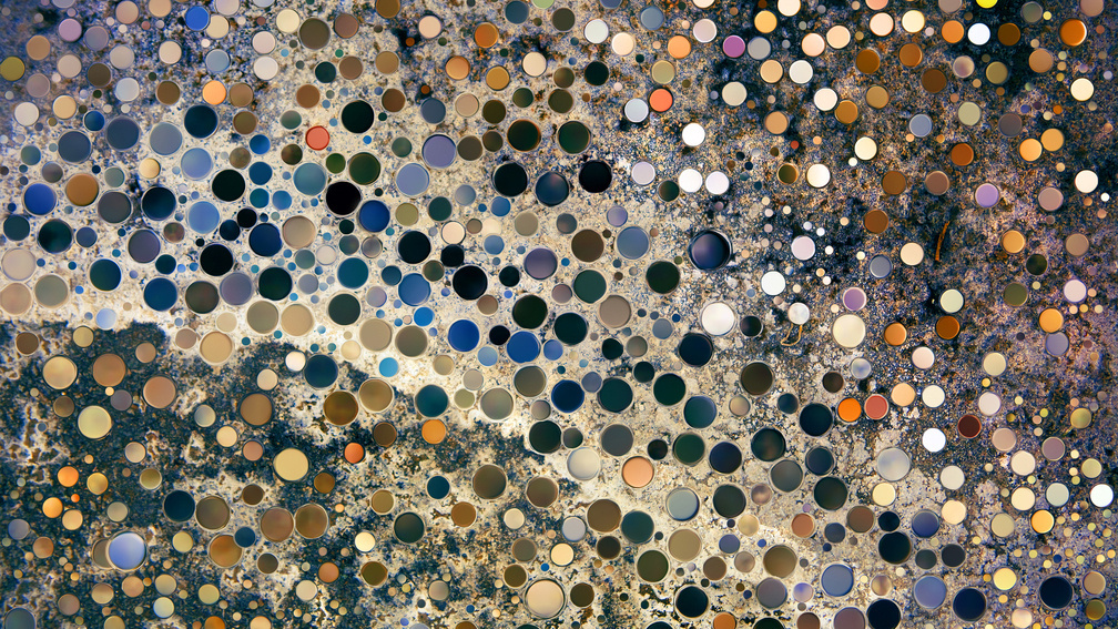 Salt on the Road IMG_6227