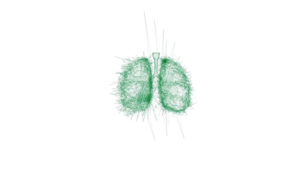 Lungs (White Version)