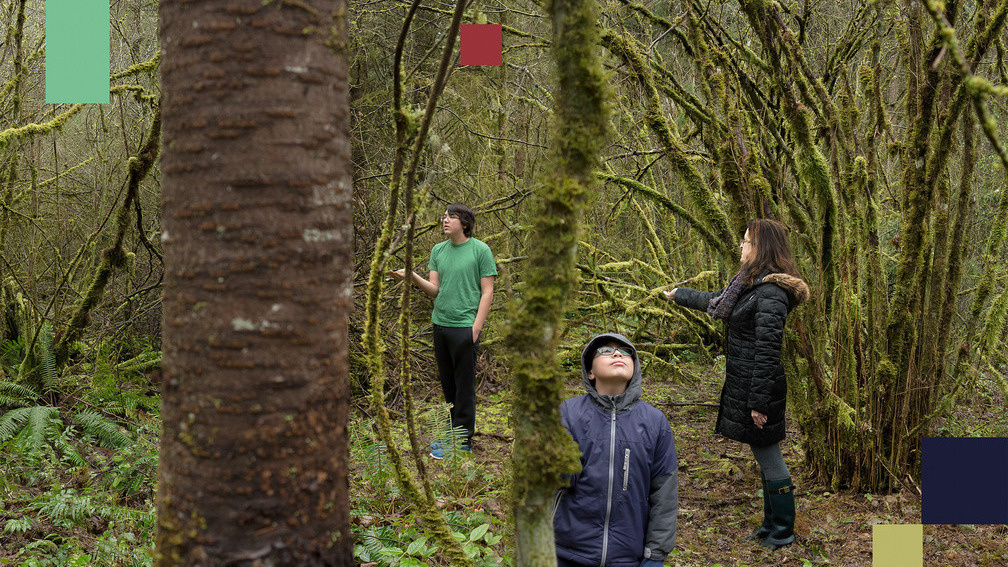 Summoning [49.028081N, 122.660692W]