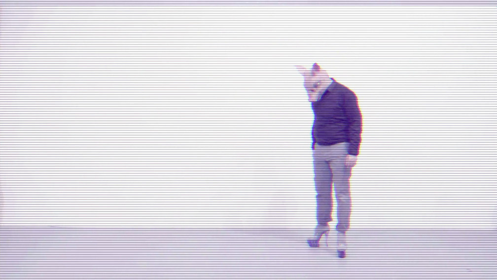 The Stripper and The Pig