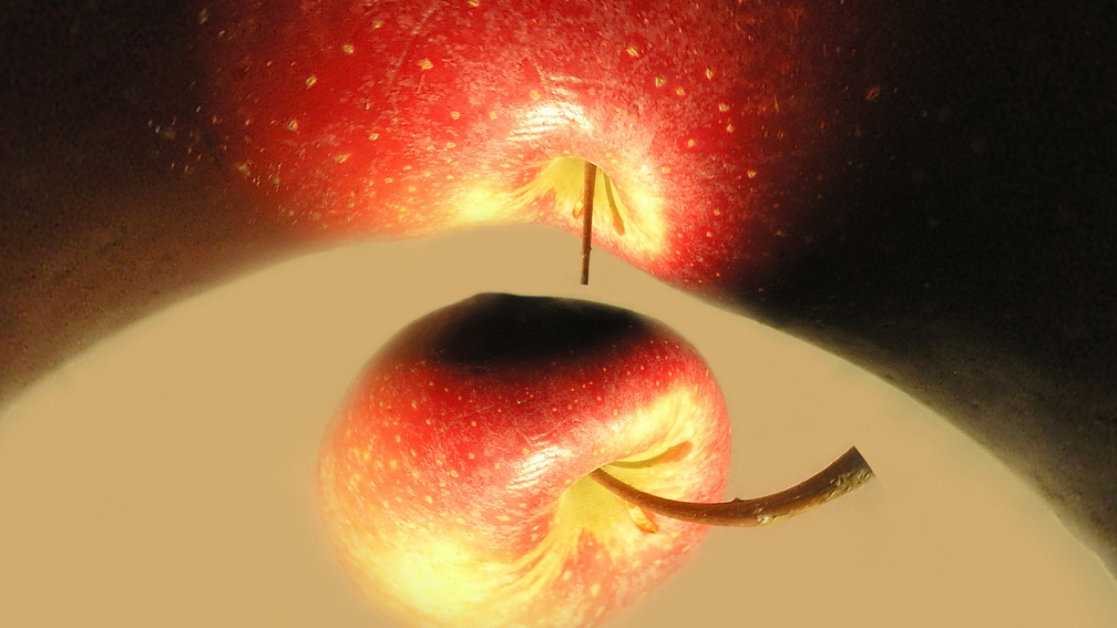 The Apple in Transformed Paradise, 2015