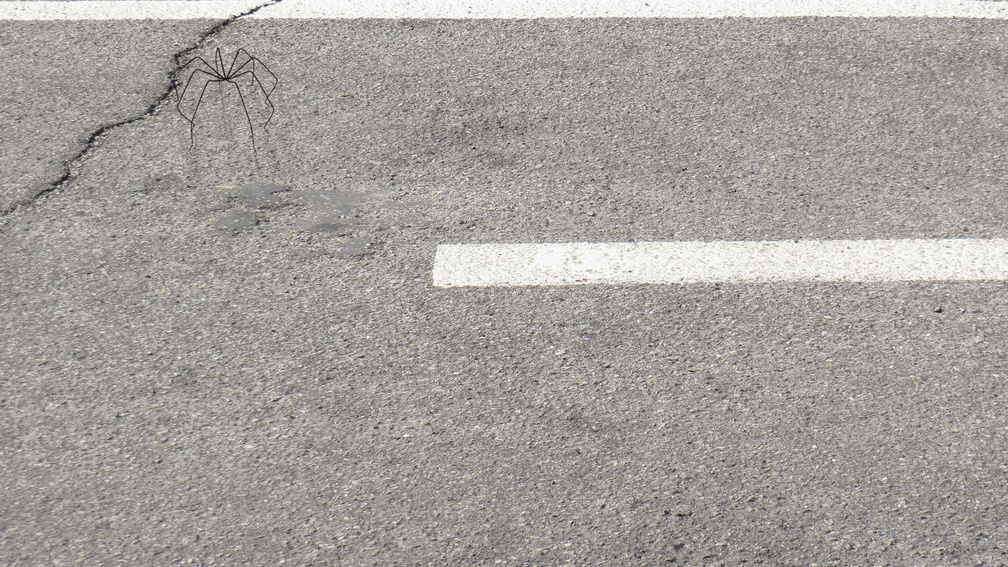 Pure Movement 1, environment 1.2, iteration 8