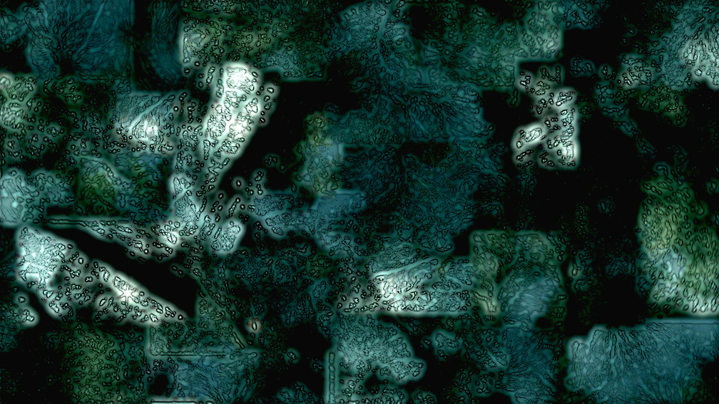 Stained Glass Nature