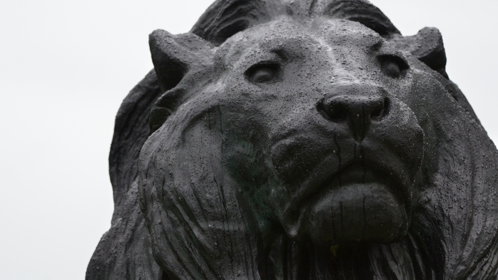Sitting Lion, Mount Vernon District, Baltimore, MD