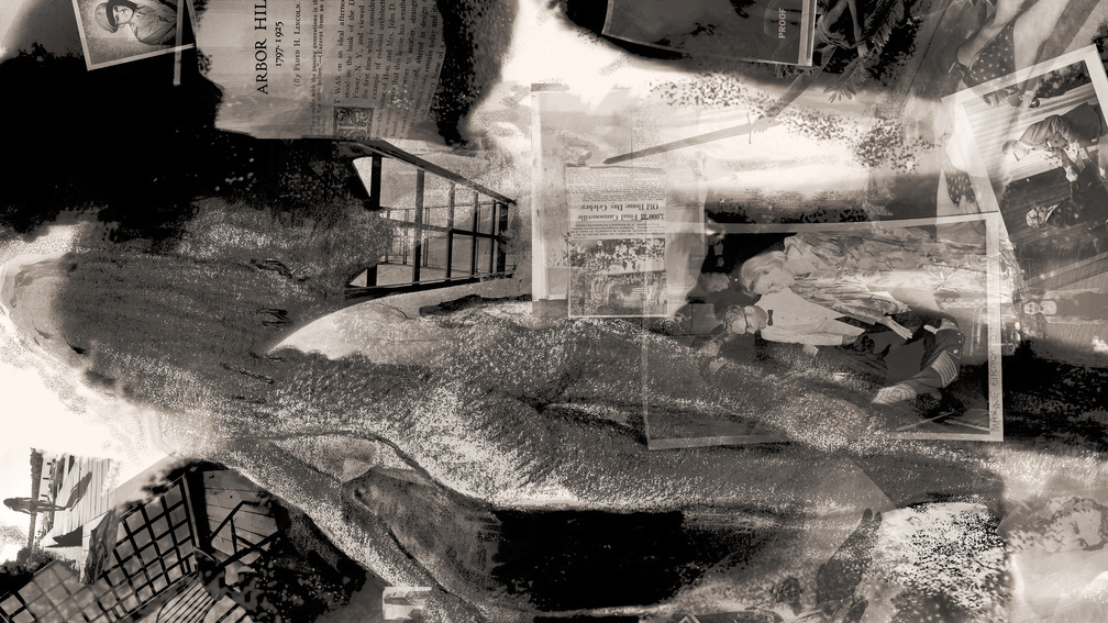 Dreaming of Flying: Arbor Hill