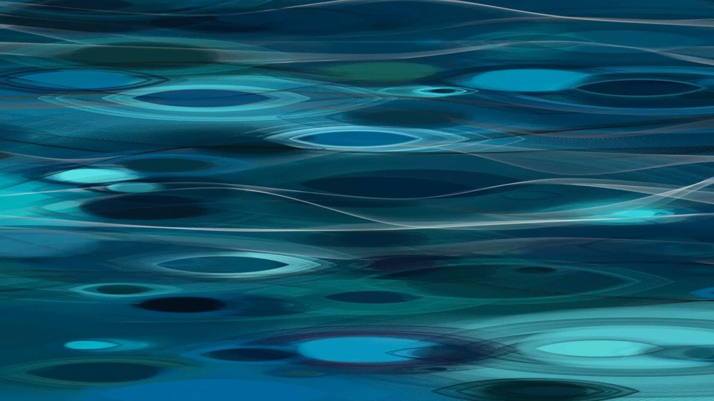 Animal Imagination 17