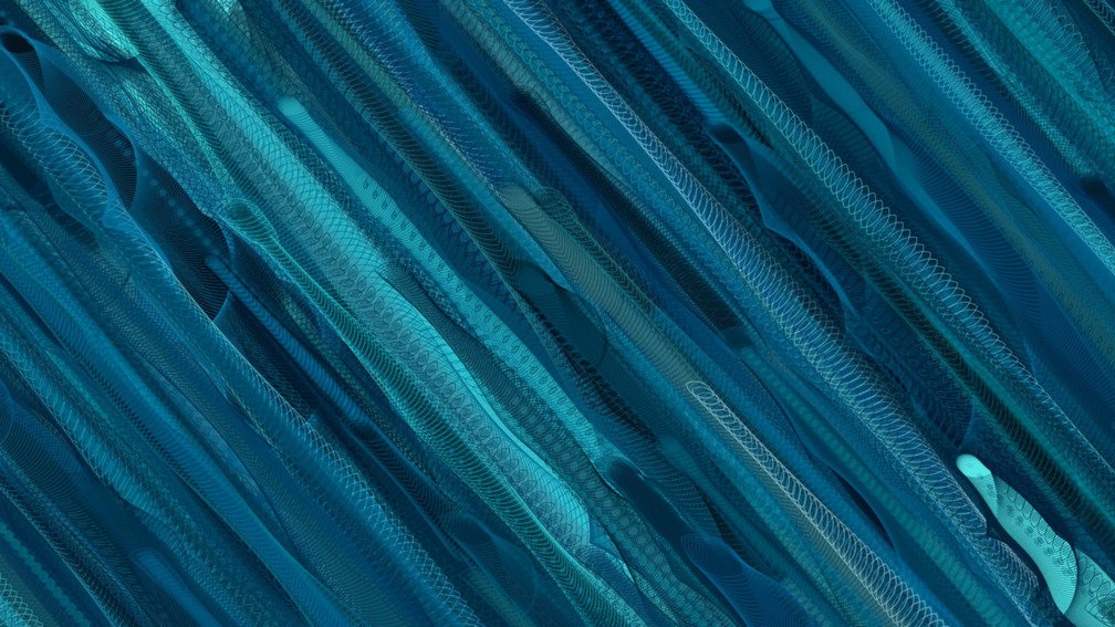 Animal Imagination 35