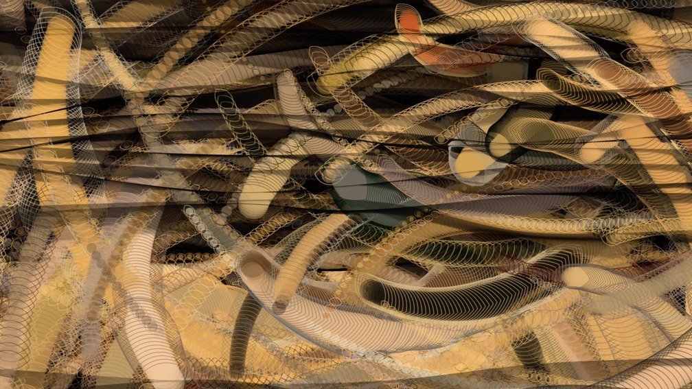 Animal Imagination 40