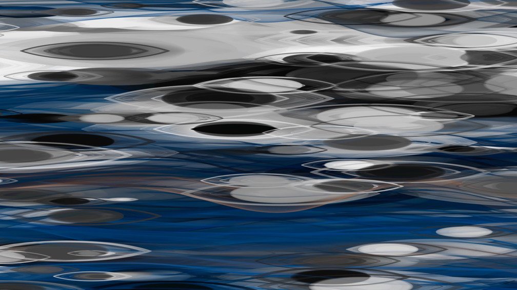 Animal Imagination 43