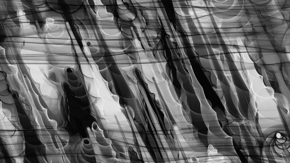 Animal Imagination 47