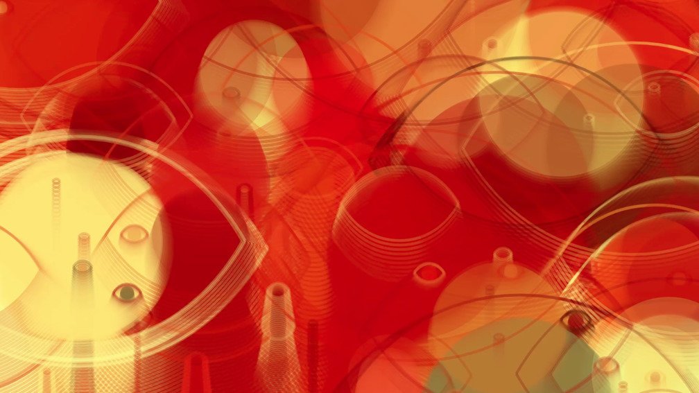 Animal Imagination 12