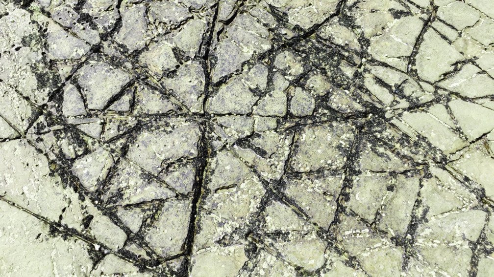 Mass in Memoria Chartres Cathedral
