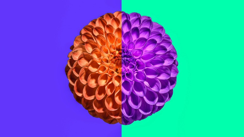 Electric Wallpaper #1 Attentive (7,5 seconds)