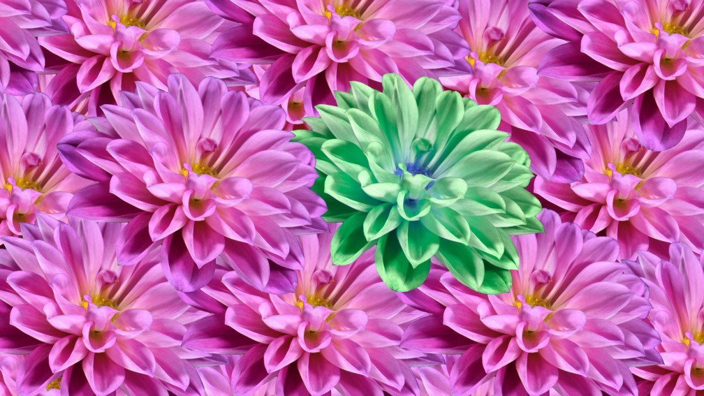 Electric Wallpaper #2 Attentive (30 seconds)