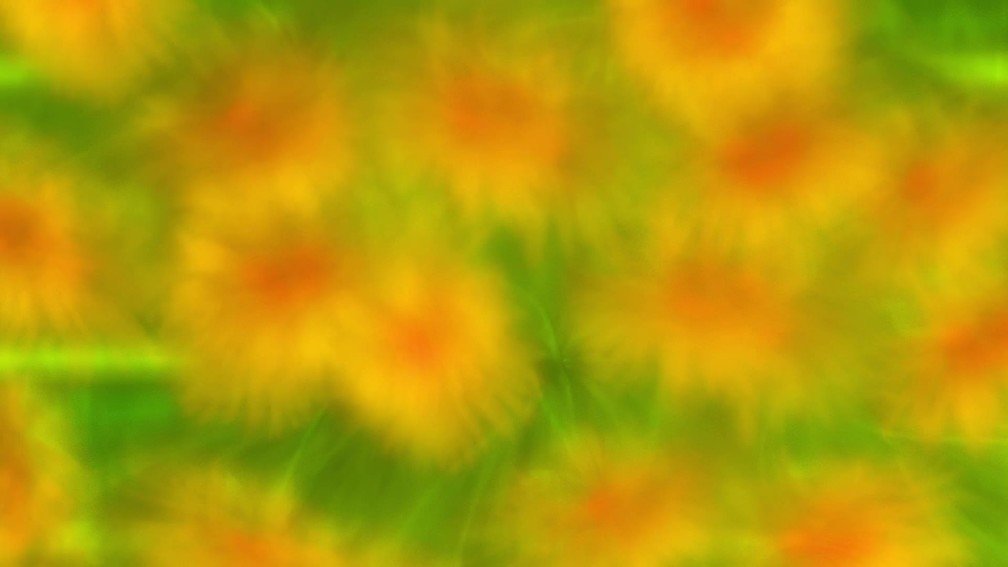 Herein Blossom Lies (Orange)