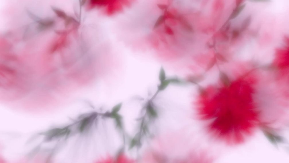 Herein Blossom Lies (Red)