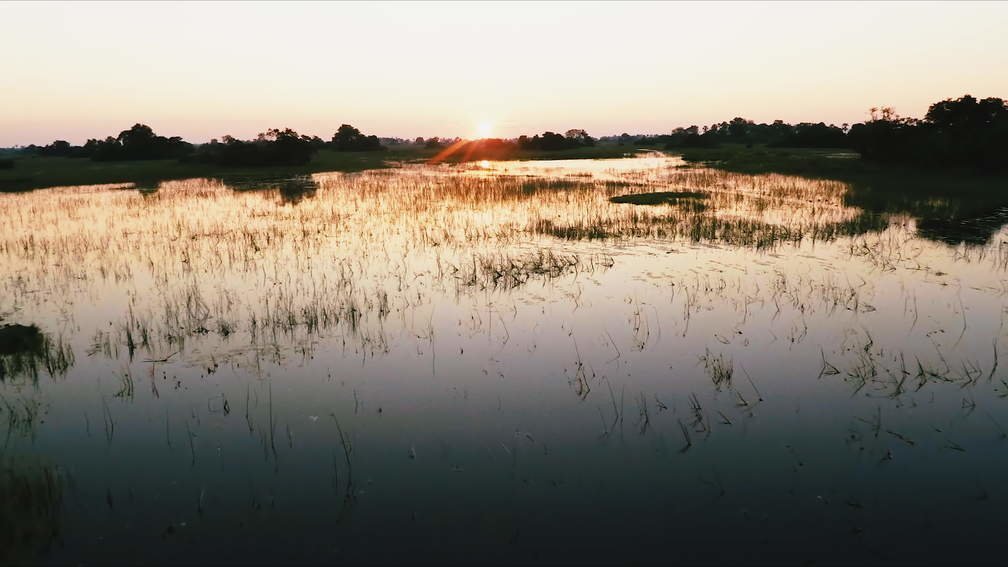 Okavango Delta, Botswana V
