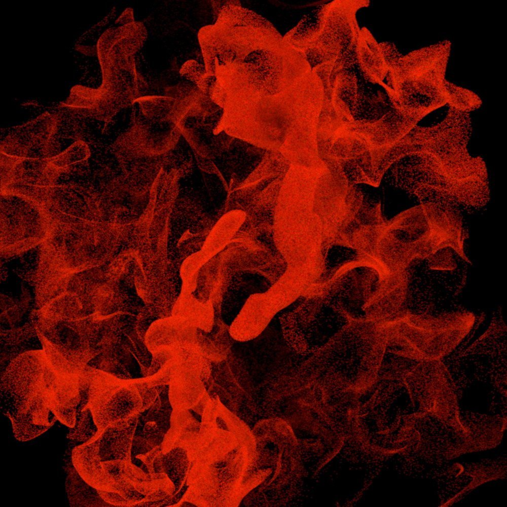 Pas de Deux by Dennis Miller #5