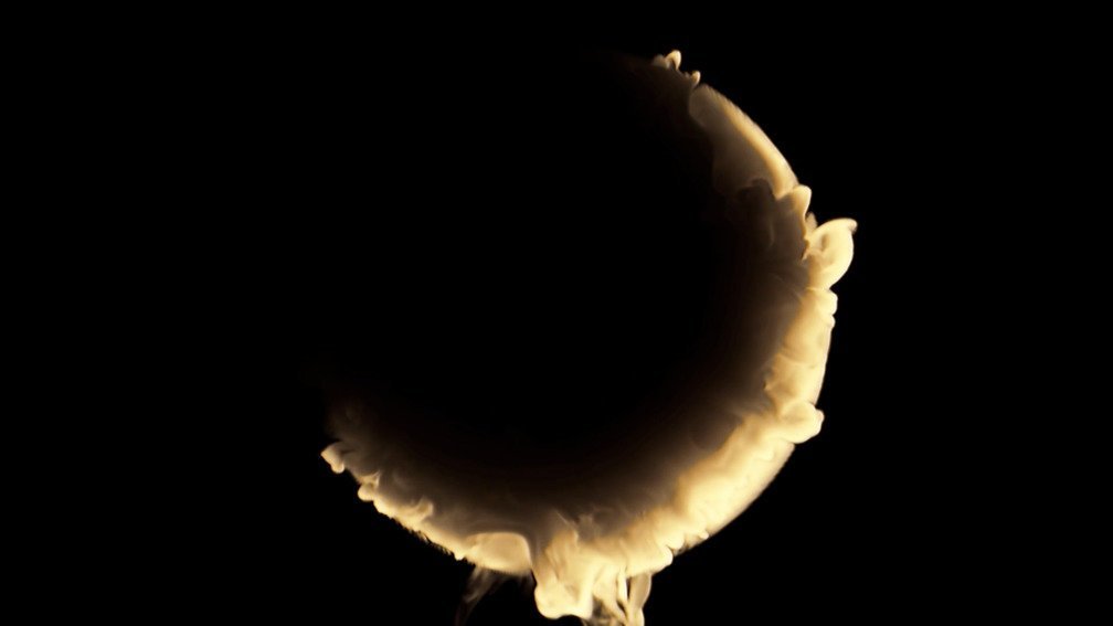 Lost Colours In The War. Part 1