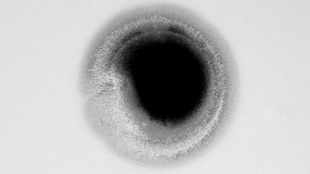 Lost Colours In The War. Part 2