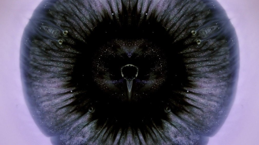 Lost Colours In The War. Part 8